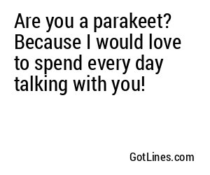 Are you a parakeet? Because I would love to spend every day talking with you!