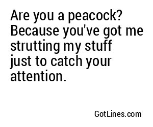 Are you a peacock? Because you've got me strutting my stuff just to catch your attention.