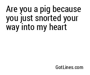 Are you a pig because you just snorted your way into my heart