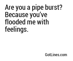 Are you a pipe burst? Because you’ve flooded me with feelings.

