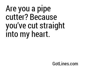 Are you a pipe cutter? Because you’ve cut straight into my heart.
