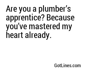 Are you a plumber’s apprentice? Because you’ve mastered my heart already.
