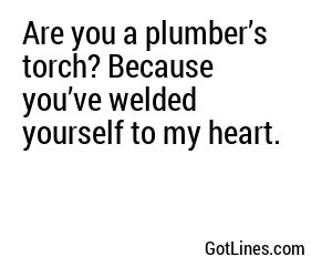 Are you a plumber’s torch? Because you’ve welded yourself to my heart.
