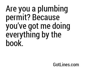 Are you a plumbing permit? Because you’ve got me doing everything by the book.
