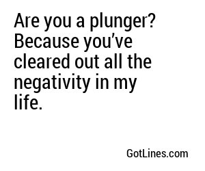 Are you a plunger? Because you’ve cleared out all the negativity in my life.
