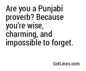 Are you a Punjabi proverb? Because you’re wise, charming, and impossible to forget.
