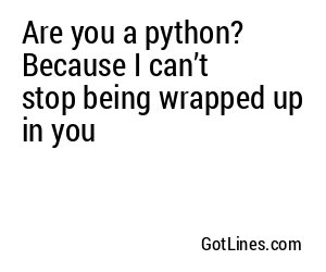 Are you a python? Because I can’t stop being wrapped up in you