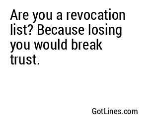 Are you a revocation list? Because losing you would break trust.
