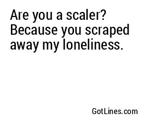 Are you a scaler? Because you scraped away my loneliness.