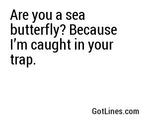 Are you a sea butterfly? Because I’m caught in your trap.
