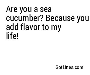 Are you a sea cucumber? Because you add flavor to my life!