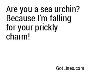 Are you a sea urchin? Because I’m falling for your prickly charm!