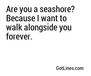 Are you a seashore? Because I want to walk alongside you forever.
