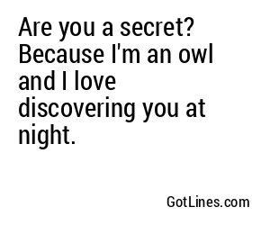 Are you a secret? Because I'm an owl and I love discovering you at night.