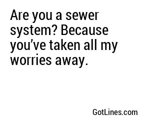 Are you a sewer system? Because you’ve taken all my worries away.
