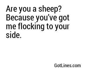 Are you a sheep? Because you’ve got me flocking to your side.
