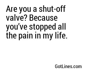 Are you a shut-off valve? Because you’ve stopped all the pain in my life.
