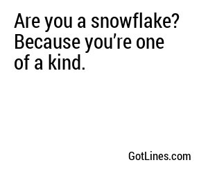 Are you a snowflake? Because you’re one of a kind.