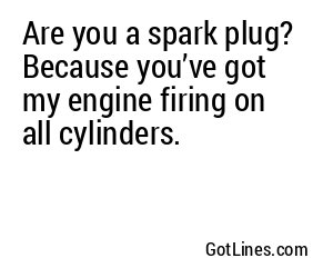 Are you a spark plug? Because you’ve got my engine firing on all cylinders.