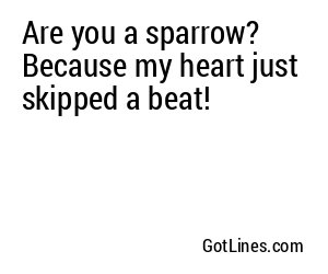 Are you a sparrow? Because my heart just skipped a beat!