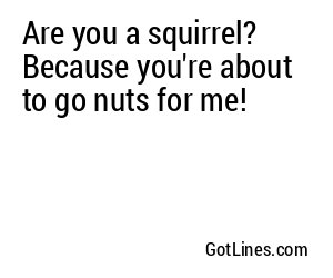 Are you a squirrel? Because you're about to go nuts for me!
