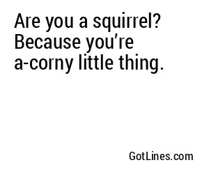 Are you a squirrel? Because you’re a-corny little thing.