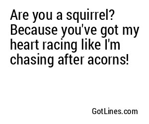 Are you a squirrel? Because you've got my heart racing like I'm chasing after acorns!