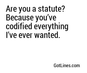 Are you a statute? Because you’ve codified everything I’ve ever wanted.
