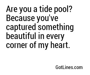 Are you a tide pool? Because you've captured something beautiful in every corner of my heart.
