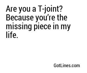Are you a T-joint? Because you’re the missing piece in my life.
