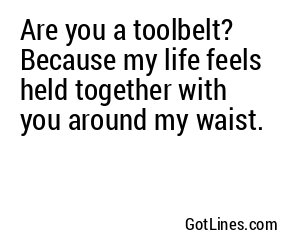 Are you a toolbelt? Because my life feels held together with you around my waist.