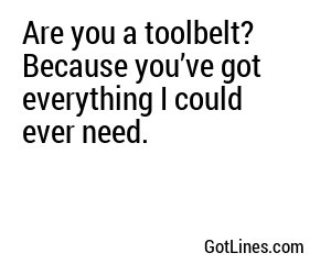 Are you a toolbelt? Because you’ve got everything I could ever need.
