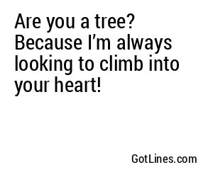 Are you a tree? Because I’m always looking to climb into your heart!