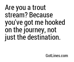 Are you a trout stream? Because you've got me hooked on the journey, not just the destination.