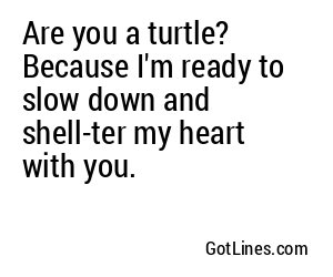 Are you a turtle? Because I'm ready to slow down and shell-ter my heart with you.