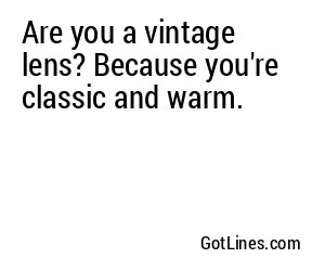 Are you a vintage lens? Because you're classic and warm.