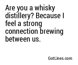 Are you a whisky distillery? Because I feel a strong connection brewing between us.
