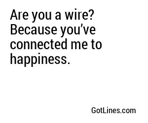Are you a wire? Because you’ve connected me to happiness.
