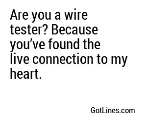 Are you a wire tester? Because you’ve found the live connection to my heart.
