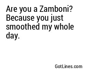 Are you a Zamboni? Because you just smoothed my whole day.