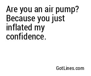 Are you an air pump? Because you just inflated my confidence.