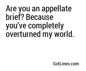 Are you an appellate brief? Because you’ve completely overturned my world.
