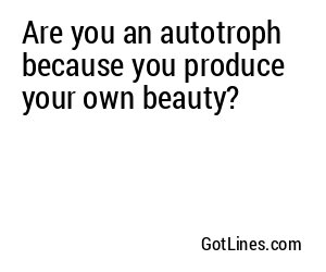 Are you an autotroph because you produce your own beauty?
