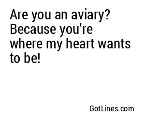 Are you an aviary? Because you’re where my heart wants to be!