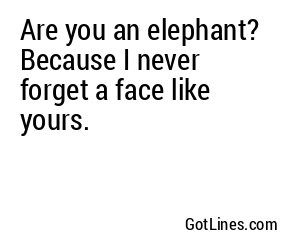 Are you an elephant? Because I never forget a face like yours.