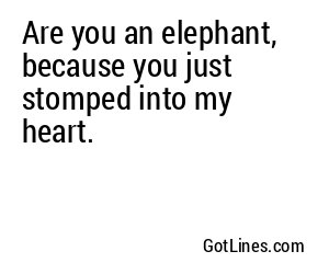 Are you an elephant, because you just stomped into my heart.
