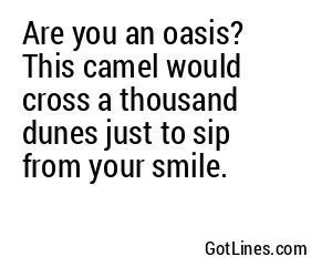 Are you an oasis? This camel would cross a thousand dunes just to sip from your smile.