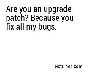 Are you an upgrade patch? Because you fix all my bugs.