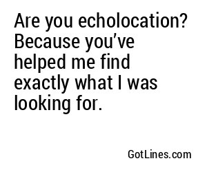 Are you echolocation? Because you’ve helped me find exactly what I was looking for.