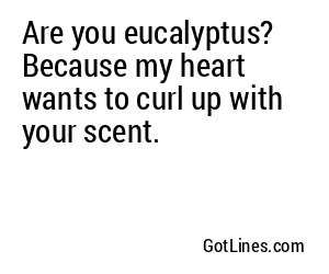Are you eucalyptus? Because my heart wants to curl up with your scent.